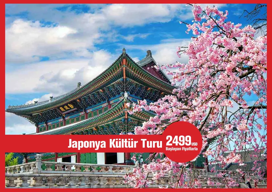 Güz Dönemi Japonya Turumuz