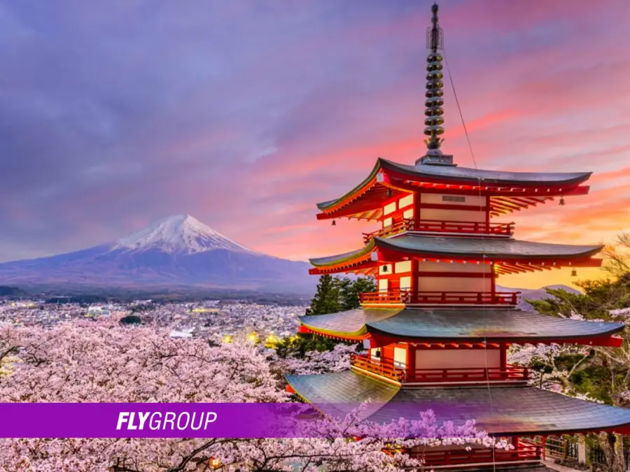 JAPONYA TURU