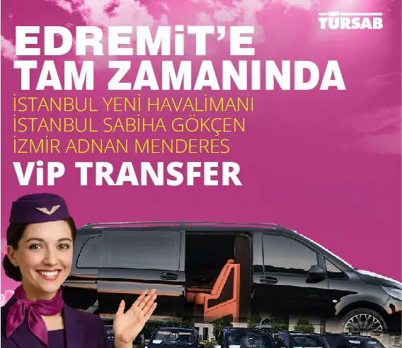 Hizmet 1
